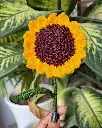 20250318_173618.webp