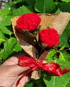 20250712_102931.webp