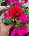 20250318_174302.webp