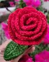 20250318_174300.webp