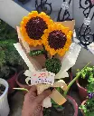 20250322_135435.webp