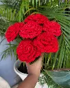 20250405_132528.webp