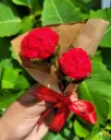 Rosy Delight Mini Bouquet