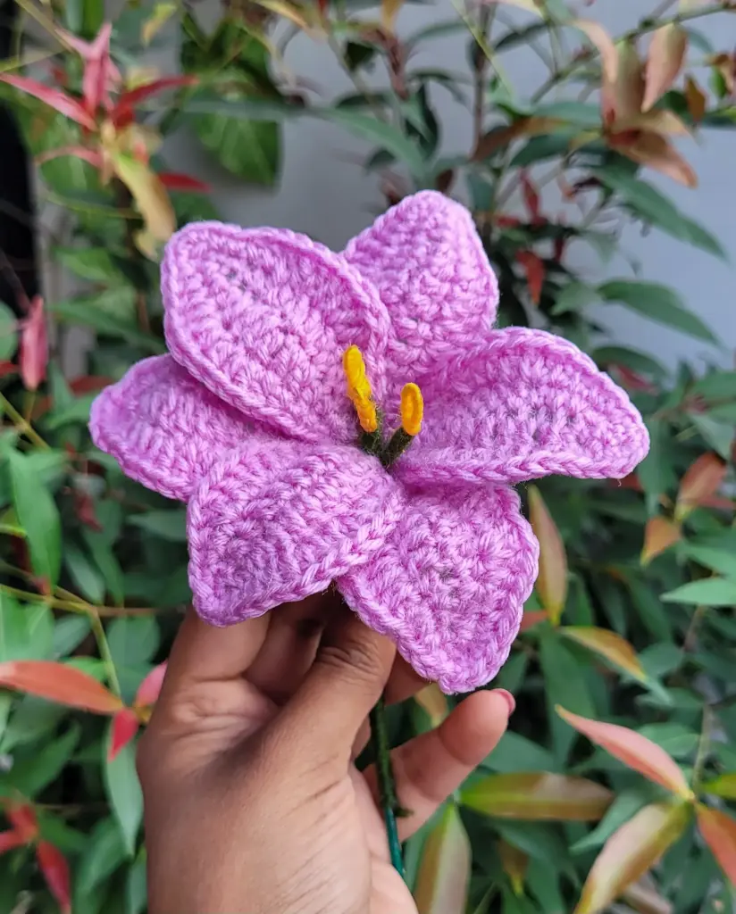 Purple Small Lily