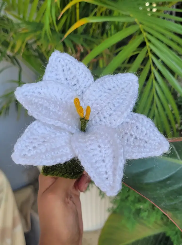 White Small lily