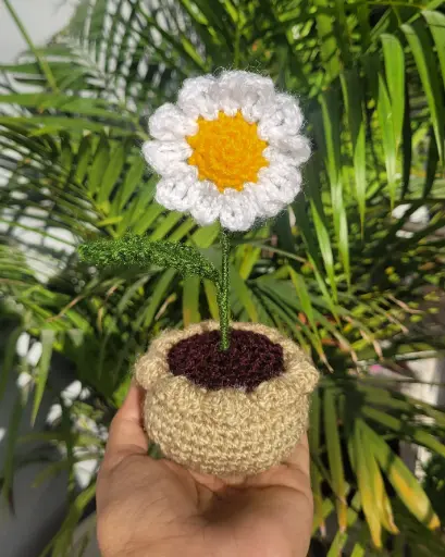 Daisy Pot