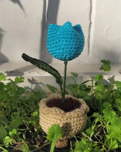Tulip Pot