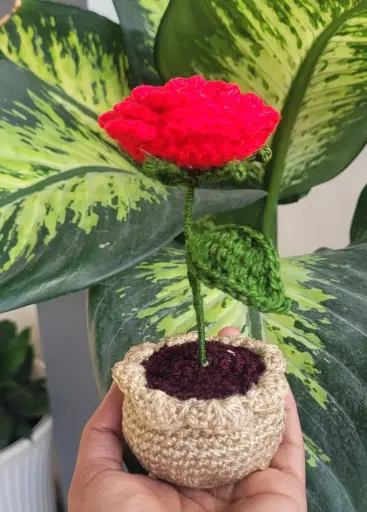 Rose Pot