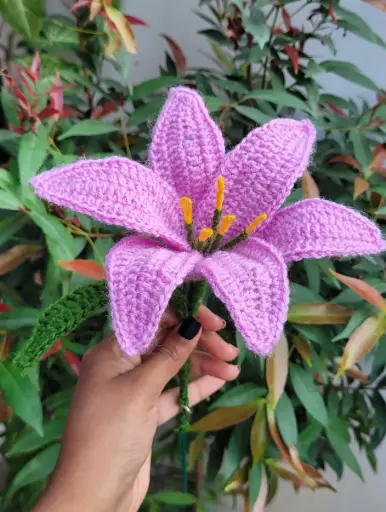 Large Purple Lily