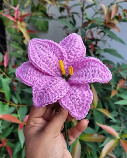 Purple Small Lily