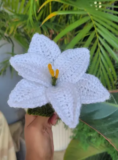 White Small lily