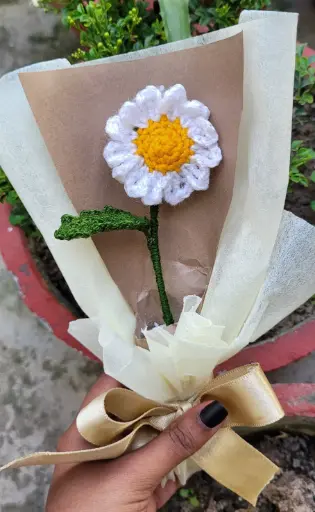 Daisy bouquet 